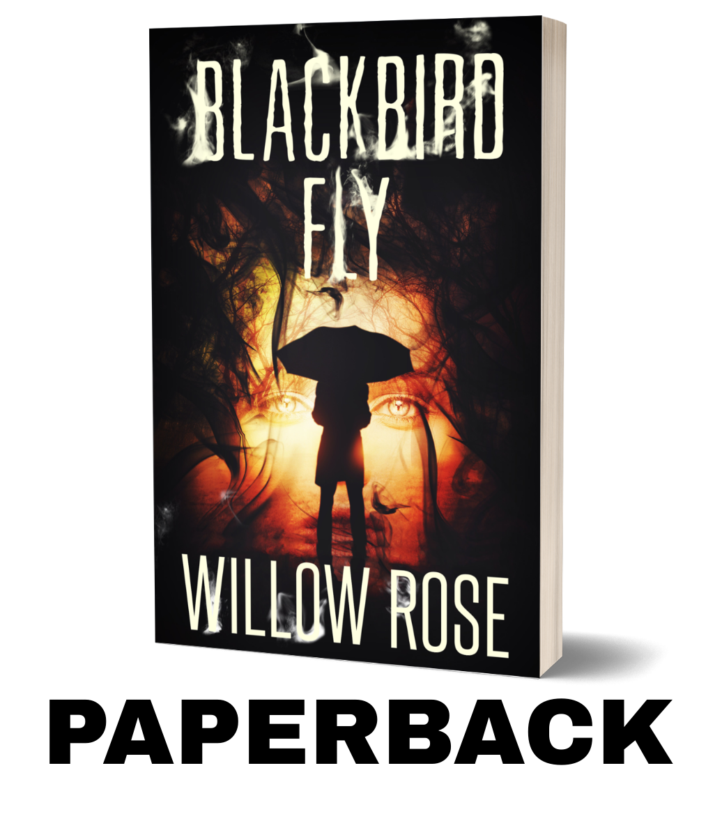 BLACKBIRD FLY - paperback