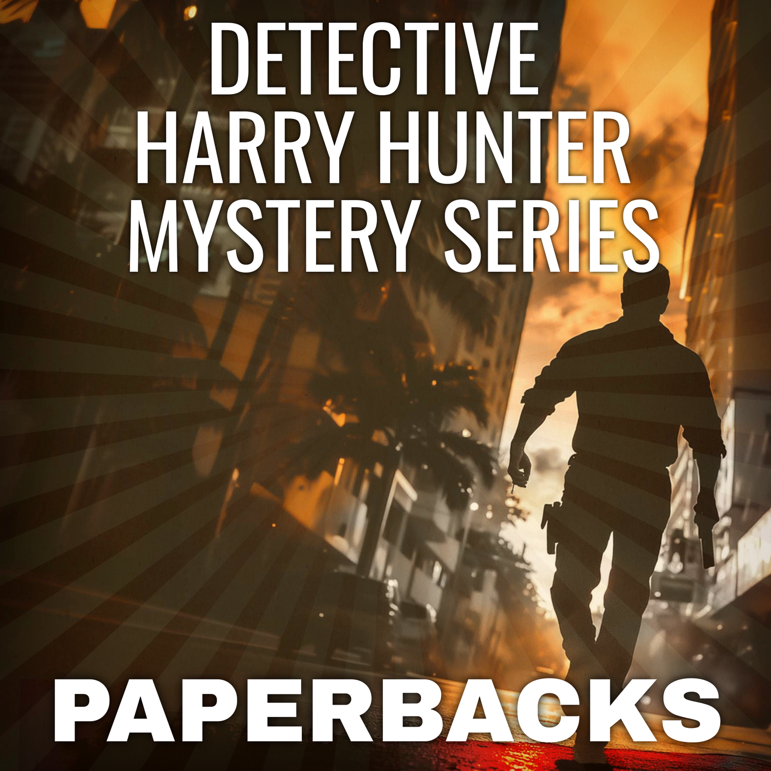 Detective Harry Hunter Mystery Series - paperback