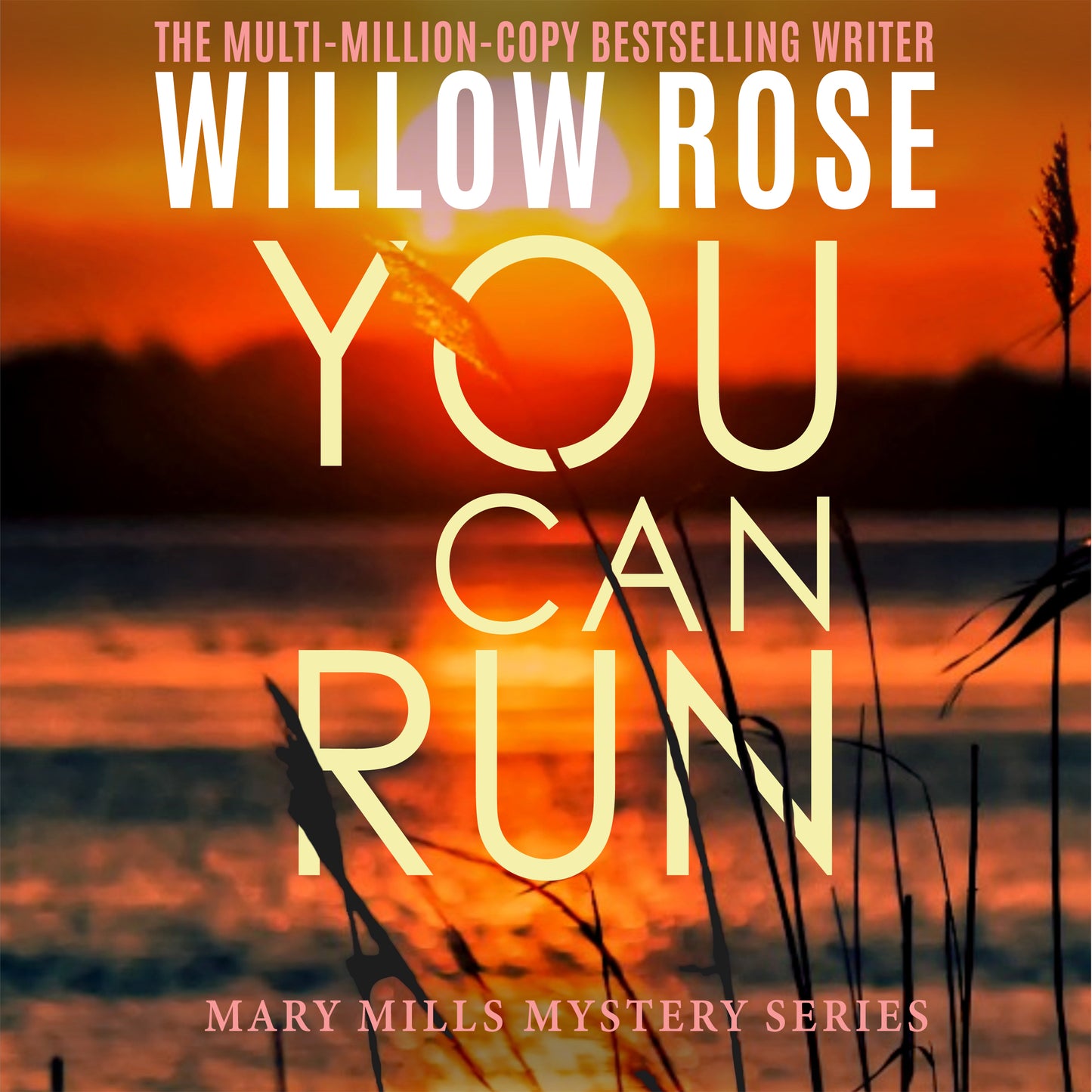 You Can Run: A heart gripping, fast paced thriller (Mary Mills Mystery Book 2) - Audio