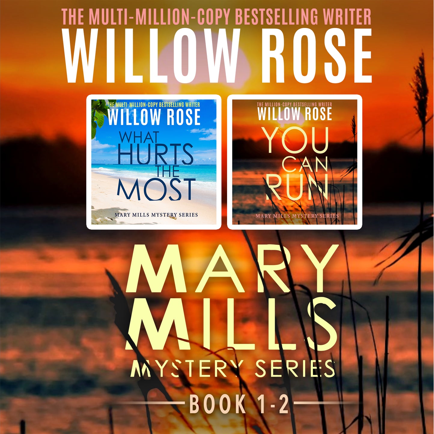 Mary Mills Mystery Series: Book 1-2 - Audio